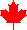 Red leaf from Canada's flag